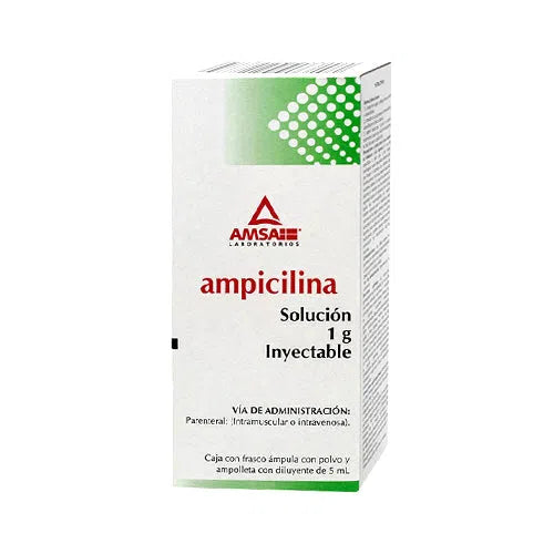 AMPICILINA (Amsa) Sol. Iny. c/1 FCO. AMP. 1 G/5 ML.
