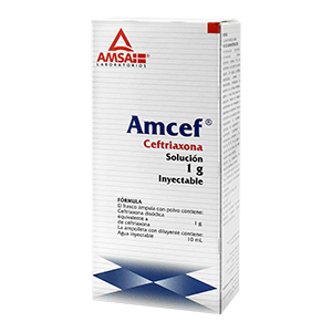 AMCEF Sol. Iny. IV. c/1 FCO. AMP. 1 G/10 ML.