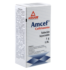 AMCEF I.M. Sol. Iny. c/1 FCO. AMP. 1 G/3.5 ML.